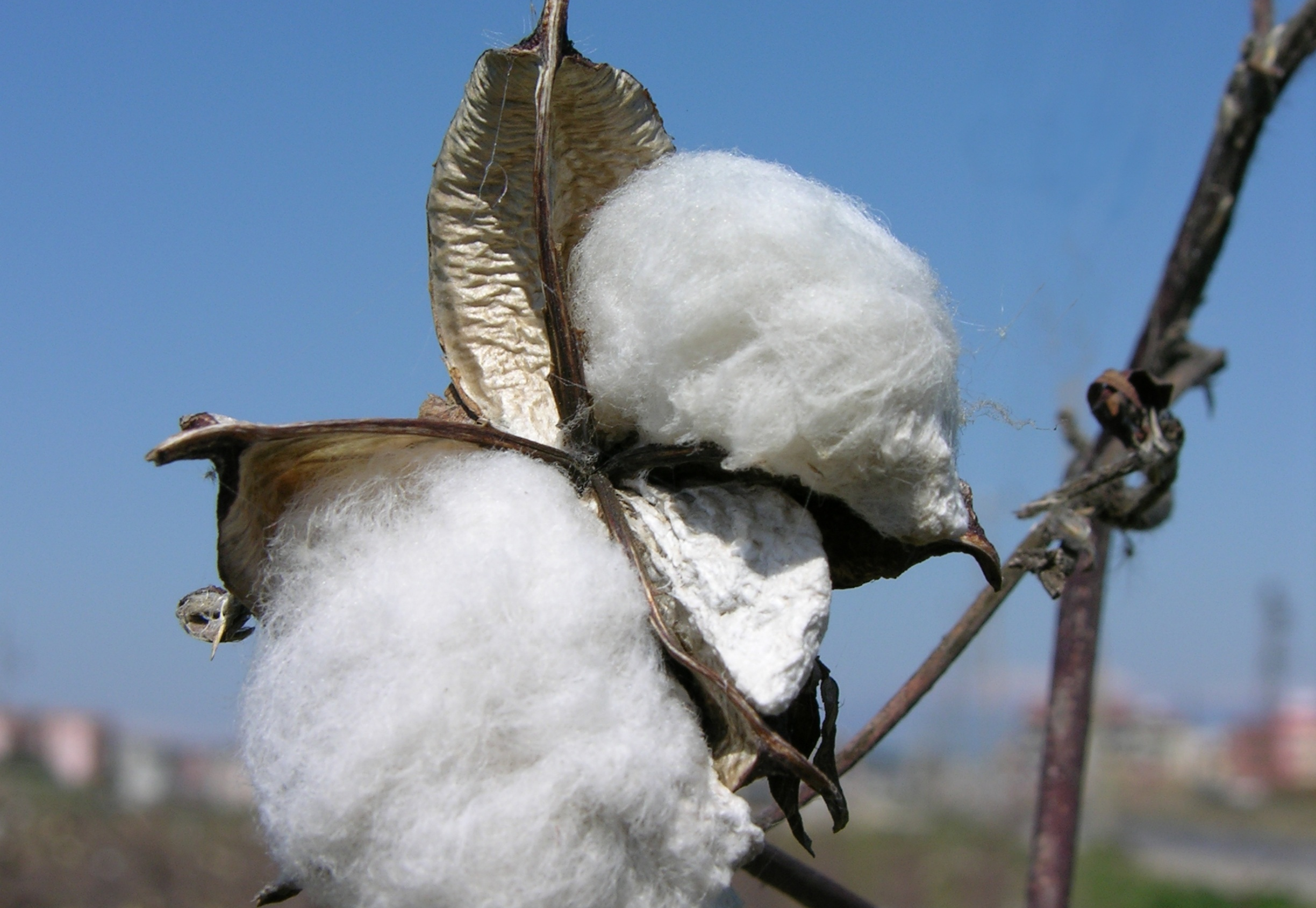 Sustainability in Textile Supply Chains